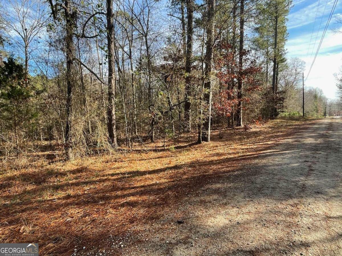 Property Photo:  Lot 17 Anderson Highway  GA 30635 