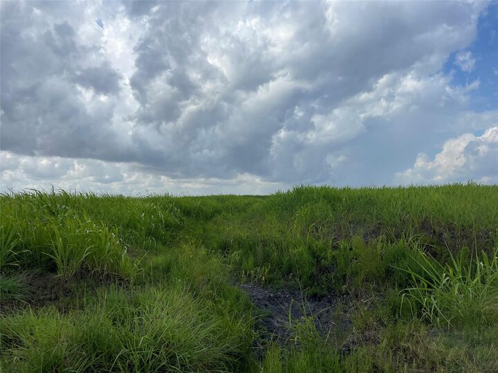 Property Photo: 0 Hwy 87 TX 77979