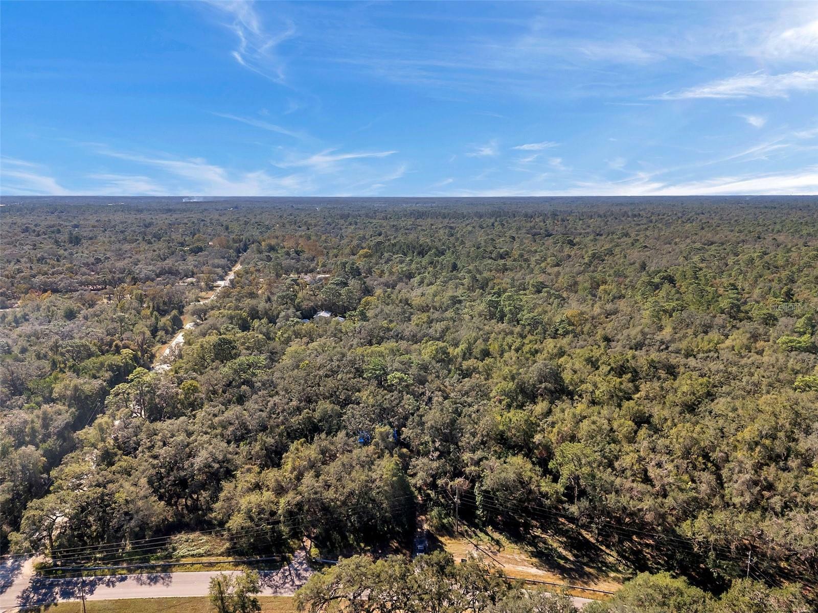 13996 Peace Boulevard  Spring Hill FL 34610 photo