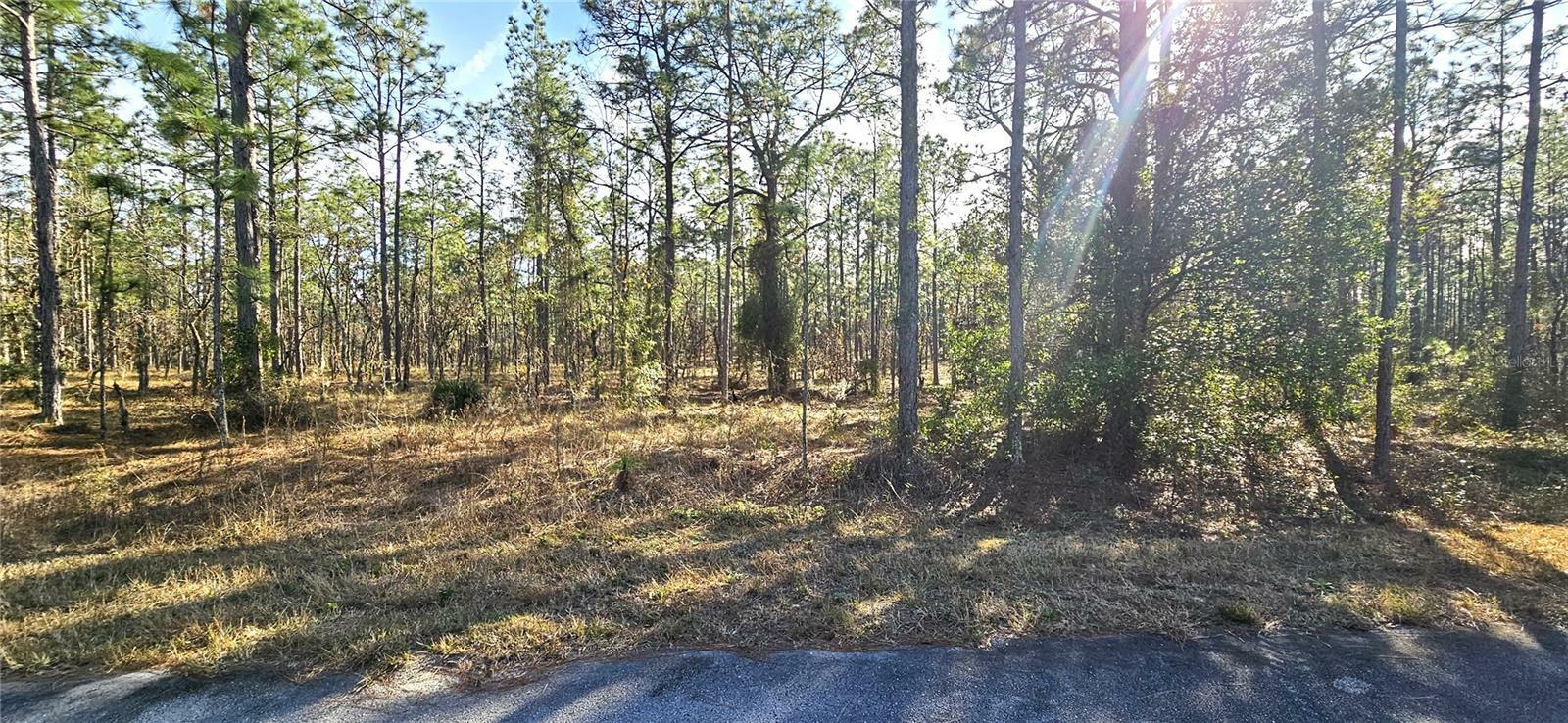 Property Photo:  Lot 21 SW Lime Ridge  FL 34431 