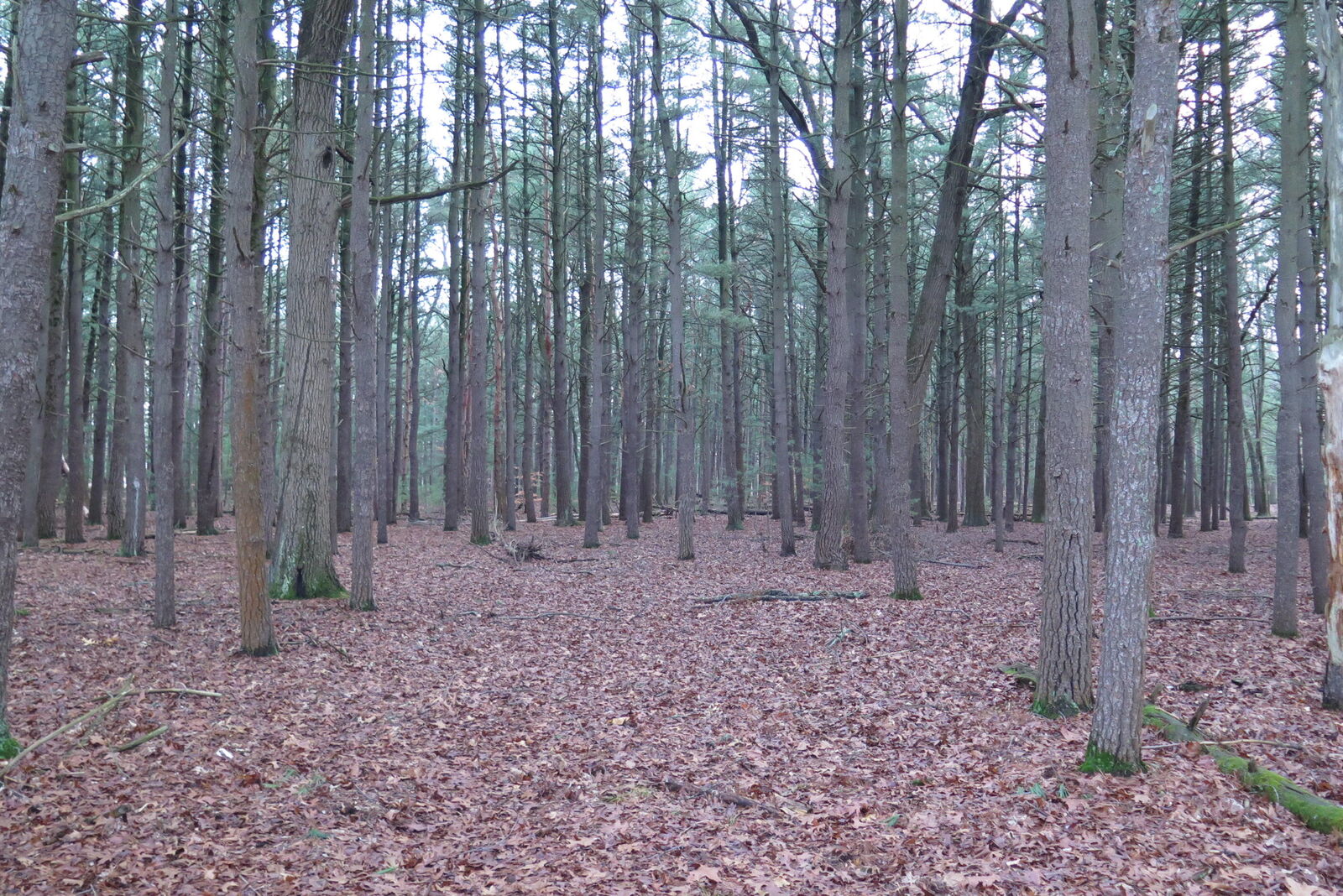 Property Photo:  0 E Laketon  MI 49442 