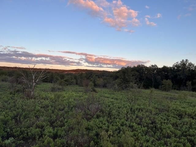Property Photo:  73 Ac Hwy 16  TX 76460 