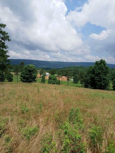 Property Photo:  1048 White Flats Road  TN 37321 