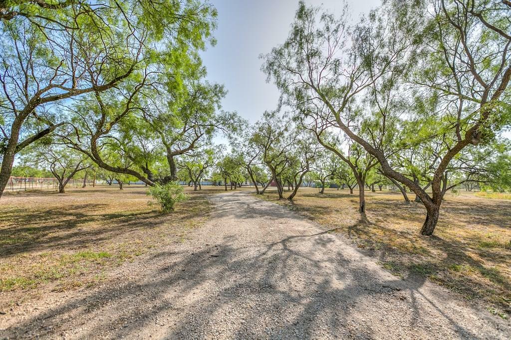 Property Photo:  10985 Buck Hollow Loop  TX 76934 