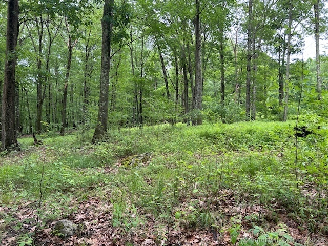 Property Photo:  B Stawicki Road  CT 06255 