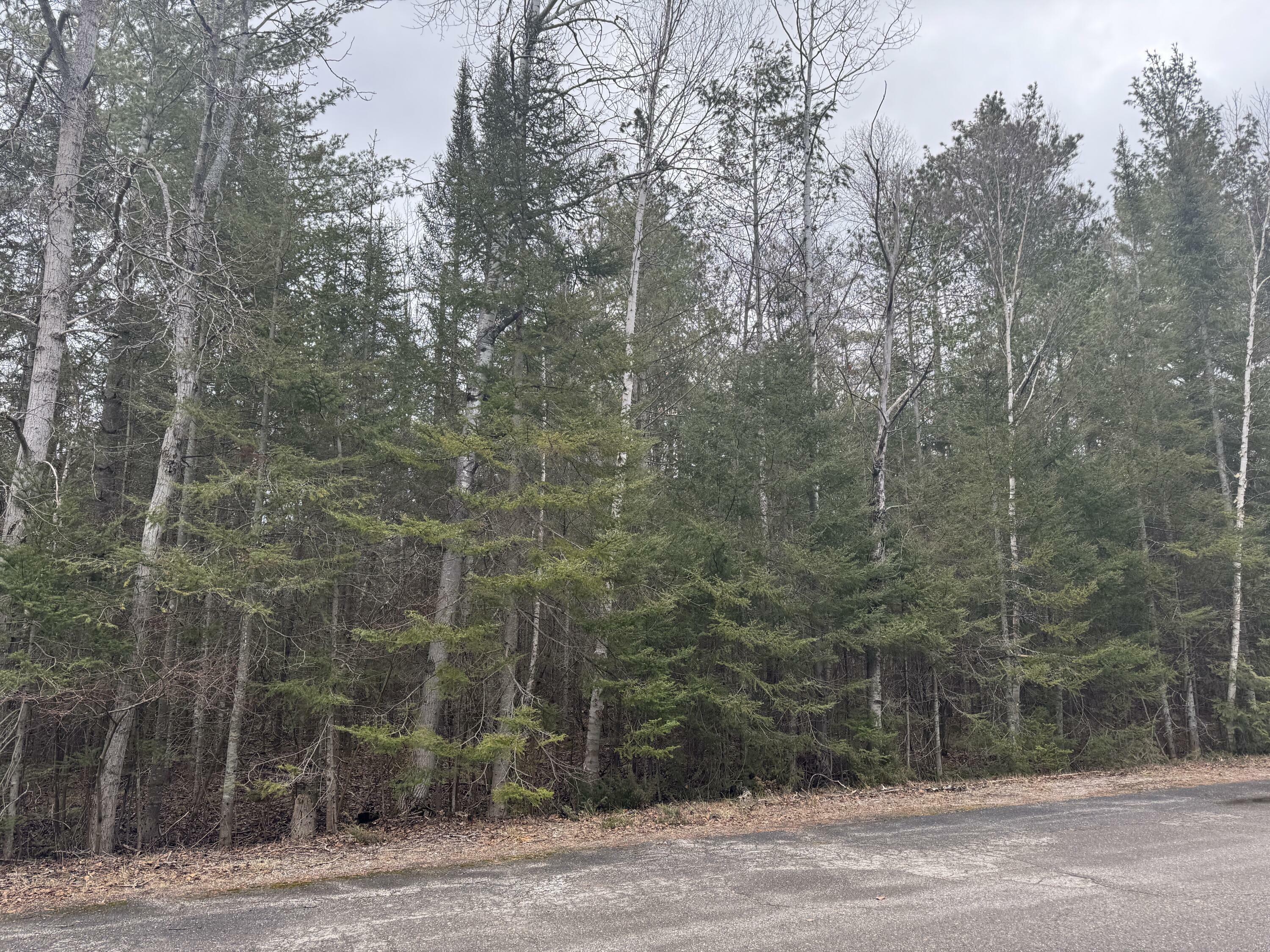 Lot 192 Sunaqua Drive  Presque Isle MI 49777 photo