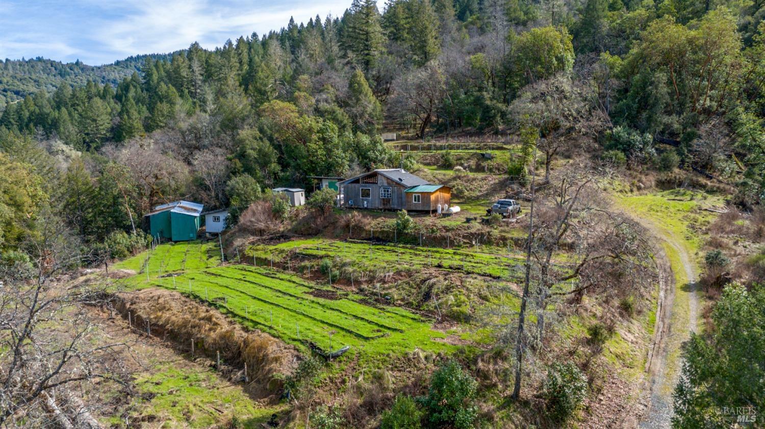 Property Photo:  41575 Covelo Road  CA 95490 