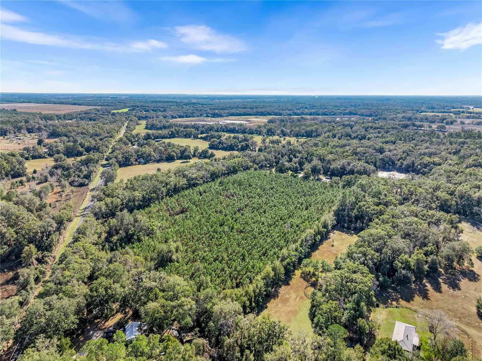 Property Photo:  00 SW State Road 45  FL 32618 