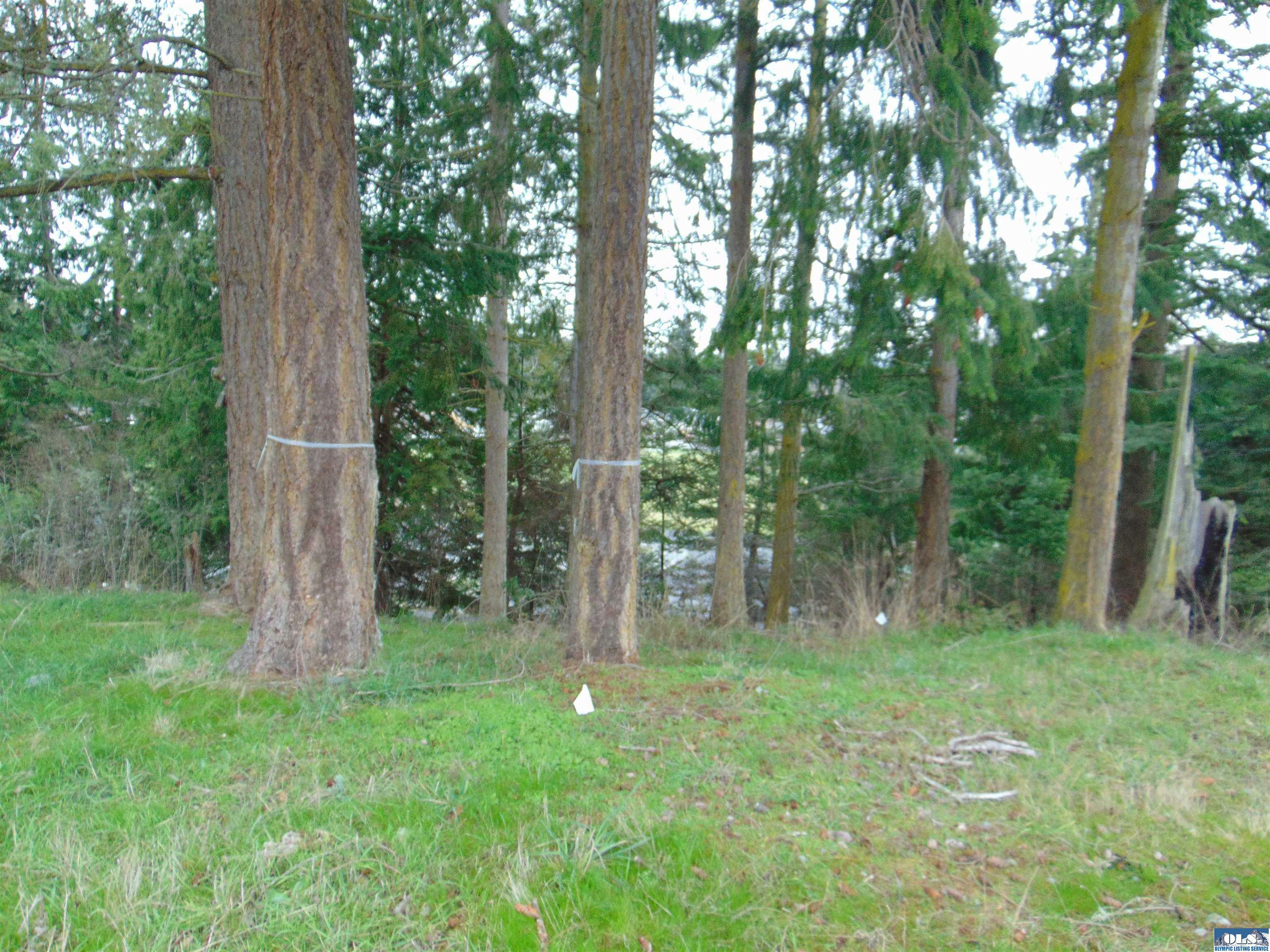 Property Photo:  Nka Ridgetop  WA 98382 