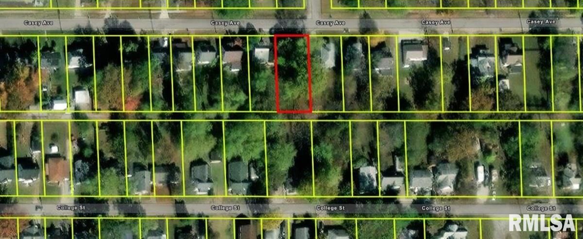 Property Photo:  2501 Casey Avenue  IL 62864 