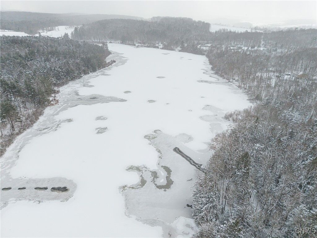Property Photo:  00 Fawn Lake Road  NY 14801 