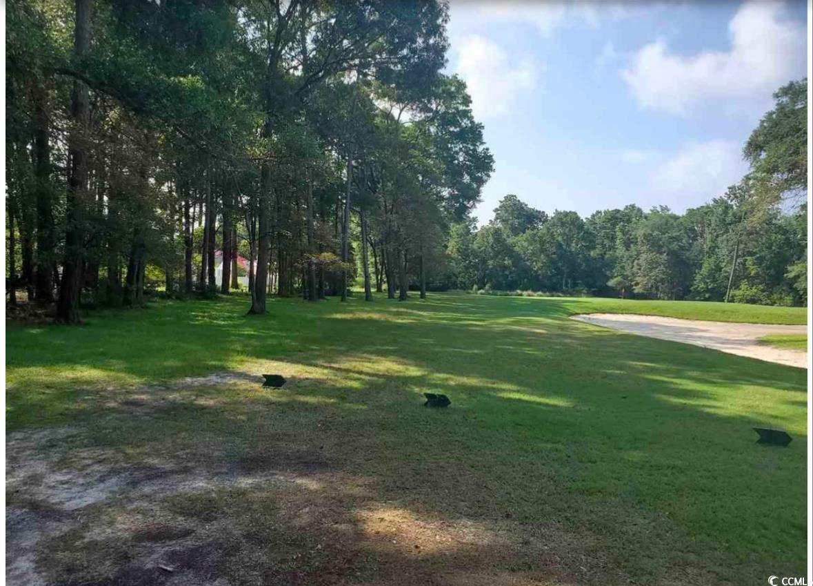 Property Photo:  0000 Live Oak Dr.  SC 29566 