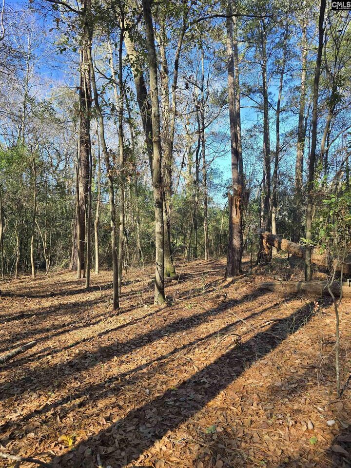 Property Photo:  Lot 7 &Amp 8 Popular  SC 29033 