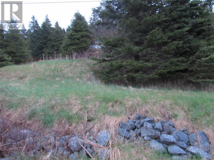 Property Photo:  46-56 Goat Shore Road  NL A0A 1B0 