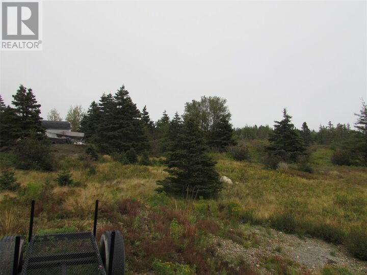 Property Photo:  16 Old Road Extension  NL A0A 1Y0 