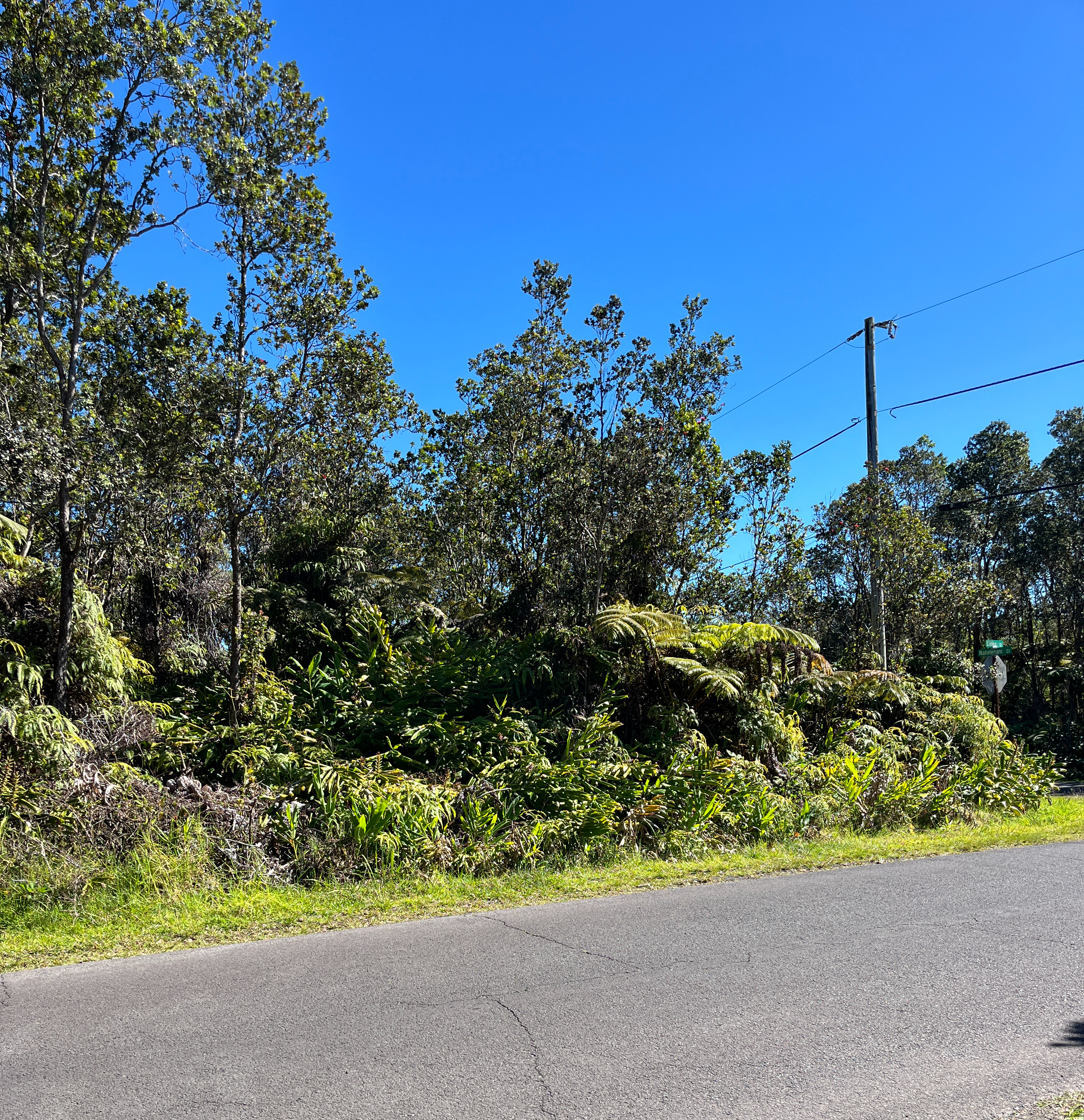Property Photo:  Liona St  HI 96785 