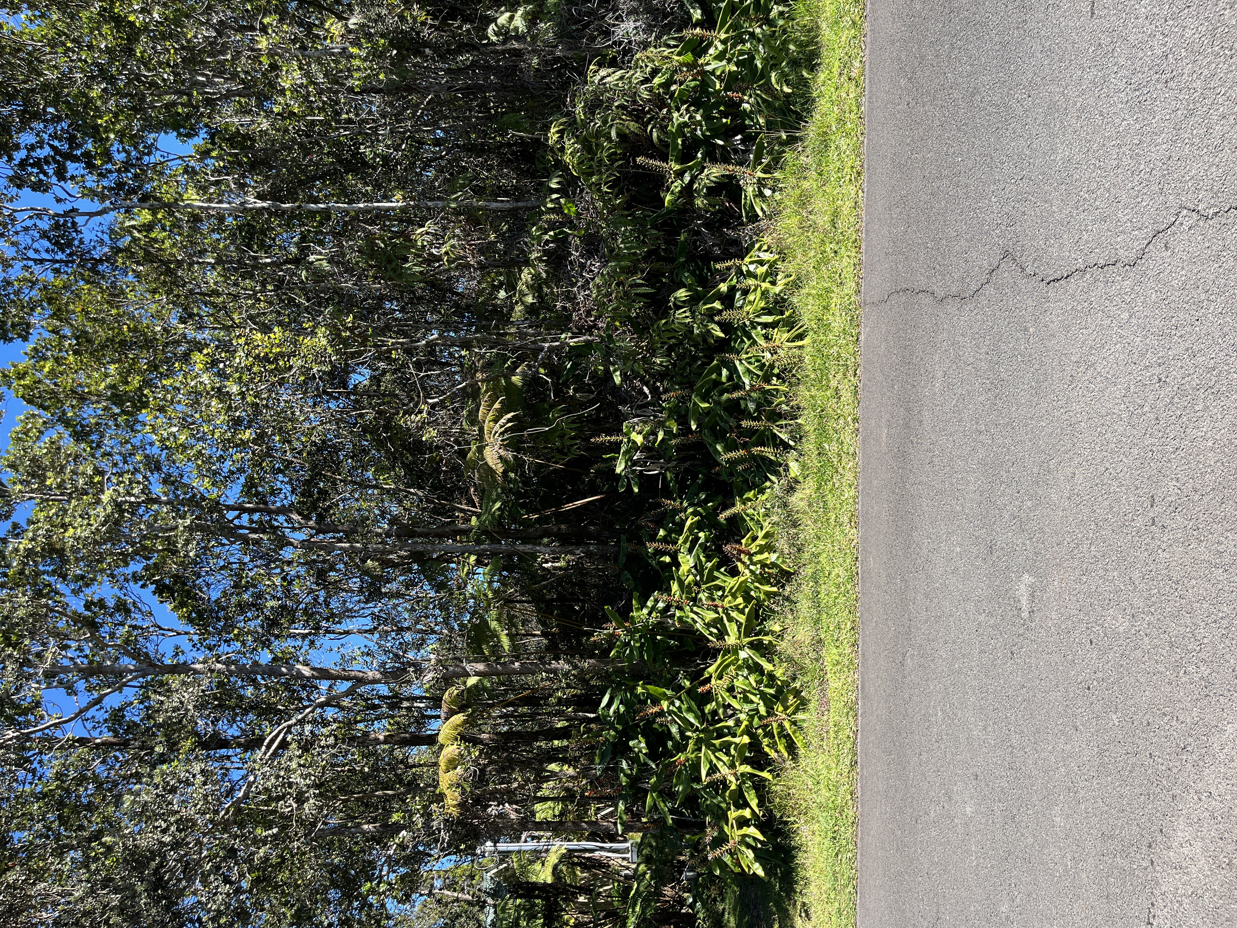 Property Photo:  Ohia Estates  HI 96785 