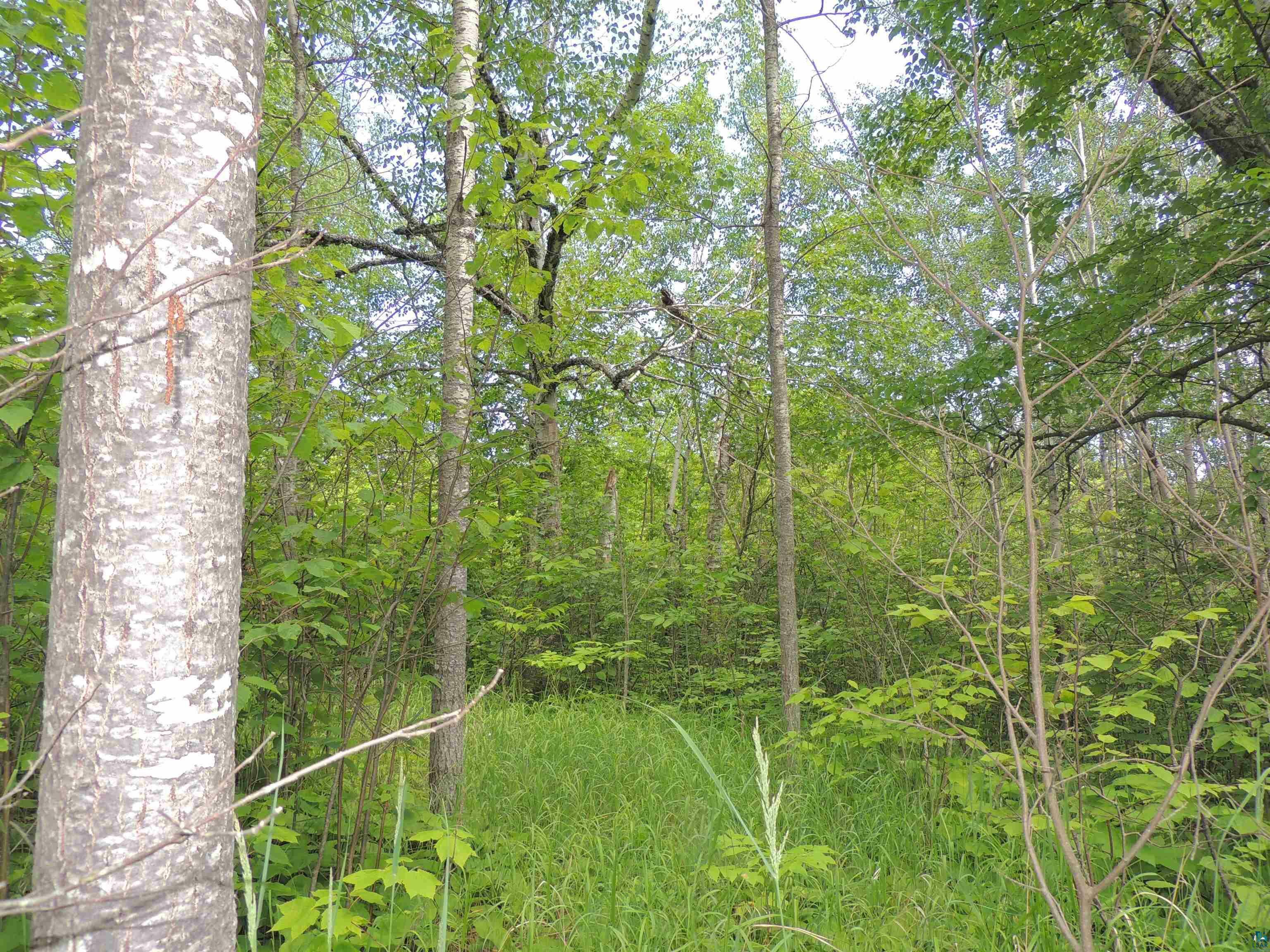 Property Photo:  76 Murphy Dr Lot 3 Block 1  MN 55604 