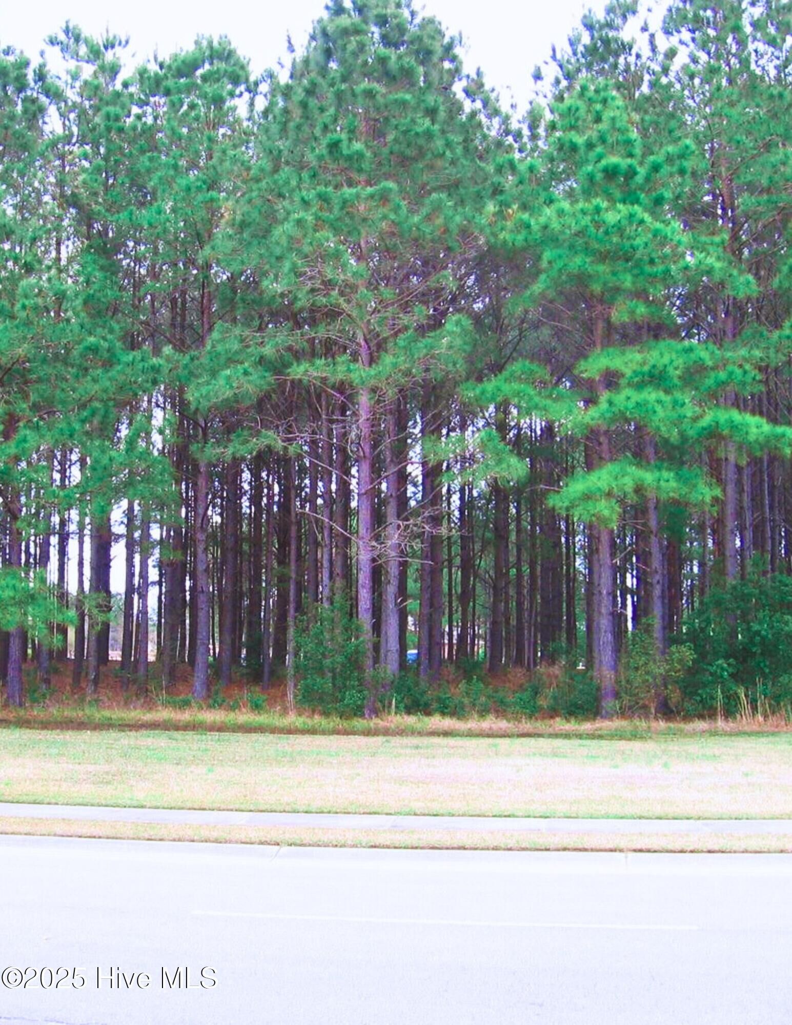 Property Photo:  394 32 Autumn Pheasant Loop NW  NC 28467 