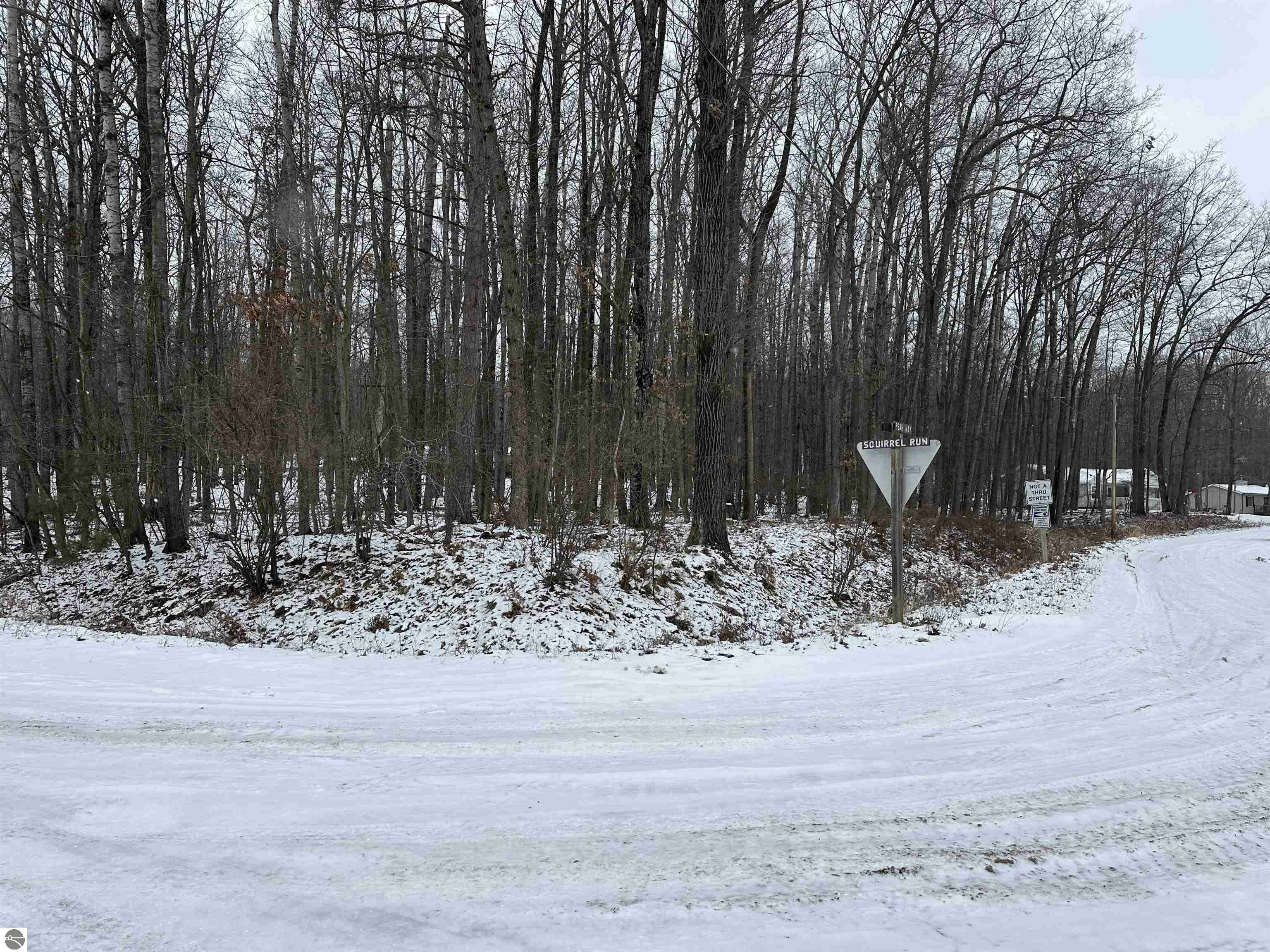 Property Photo:  Lot 40 Squirrel Run  MI 48622 