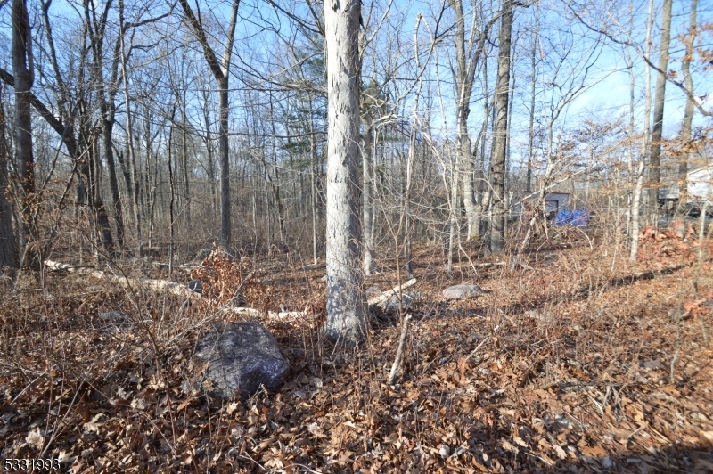 Property Photo: 0 Valley Rd NJ 07866