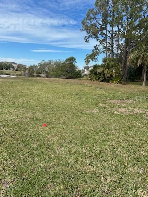 Harbour Watch Drive  Tarpon Springs FL 34689 photo