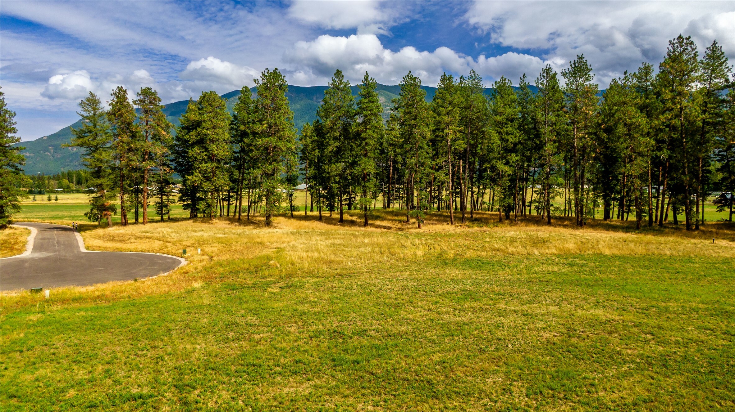 Property Photo: 271 Patriots Lane MT 59912