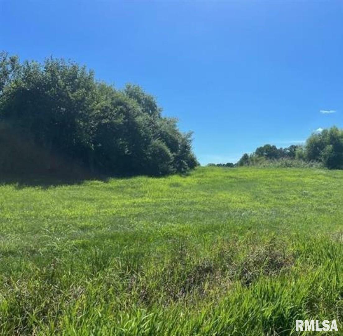 Property Photo:  Lot 9 Viola Lane  IL 62966 