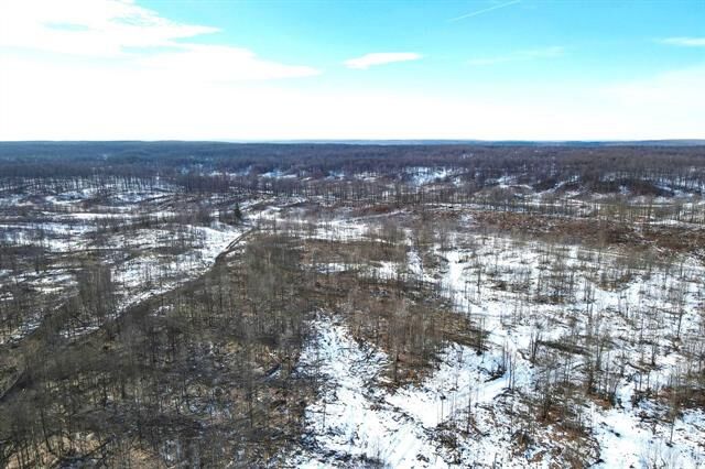 Property Photo: 00 Mount Frederic Road MI 49733