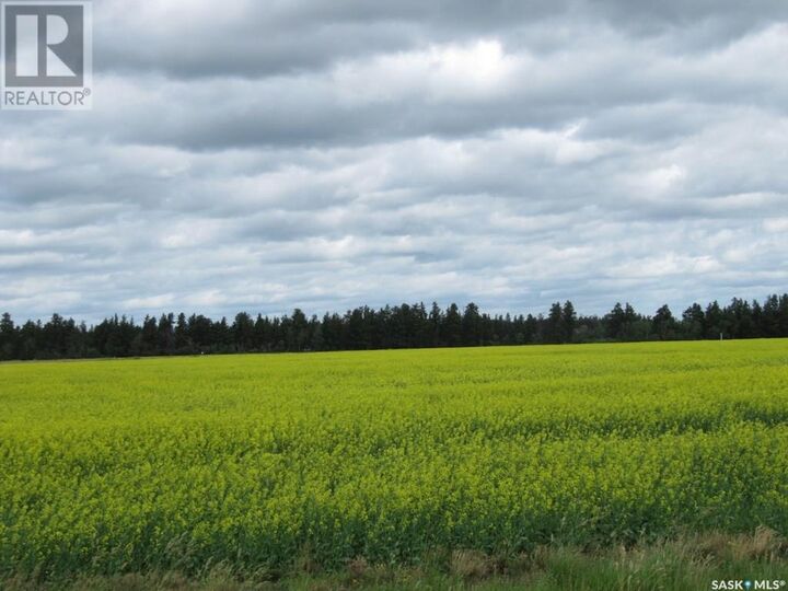 Property Photo:  Lot 10 Parcel 3.55 Acres  SK S0E 1E0 