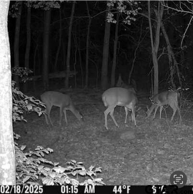 Property Photo: 562 County Road 4430 TX 75494