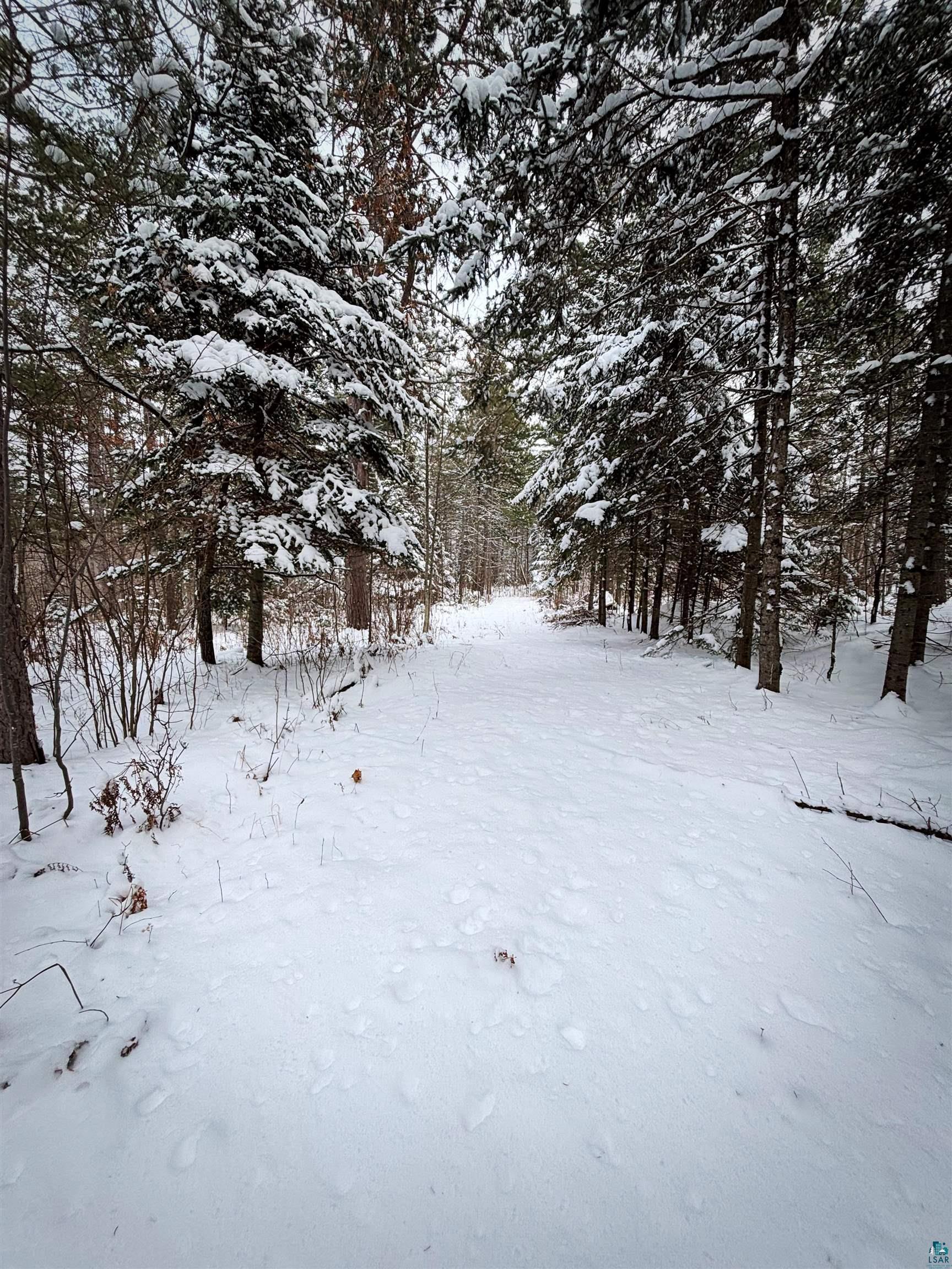 Property Photo: 000 Campbell Rd WI 54844
