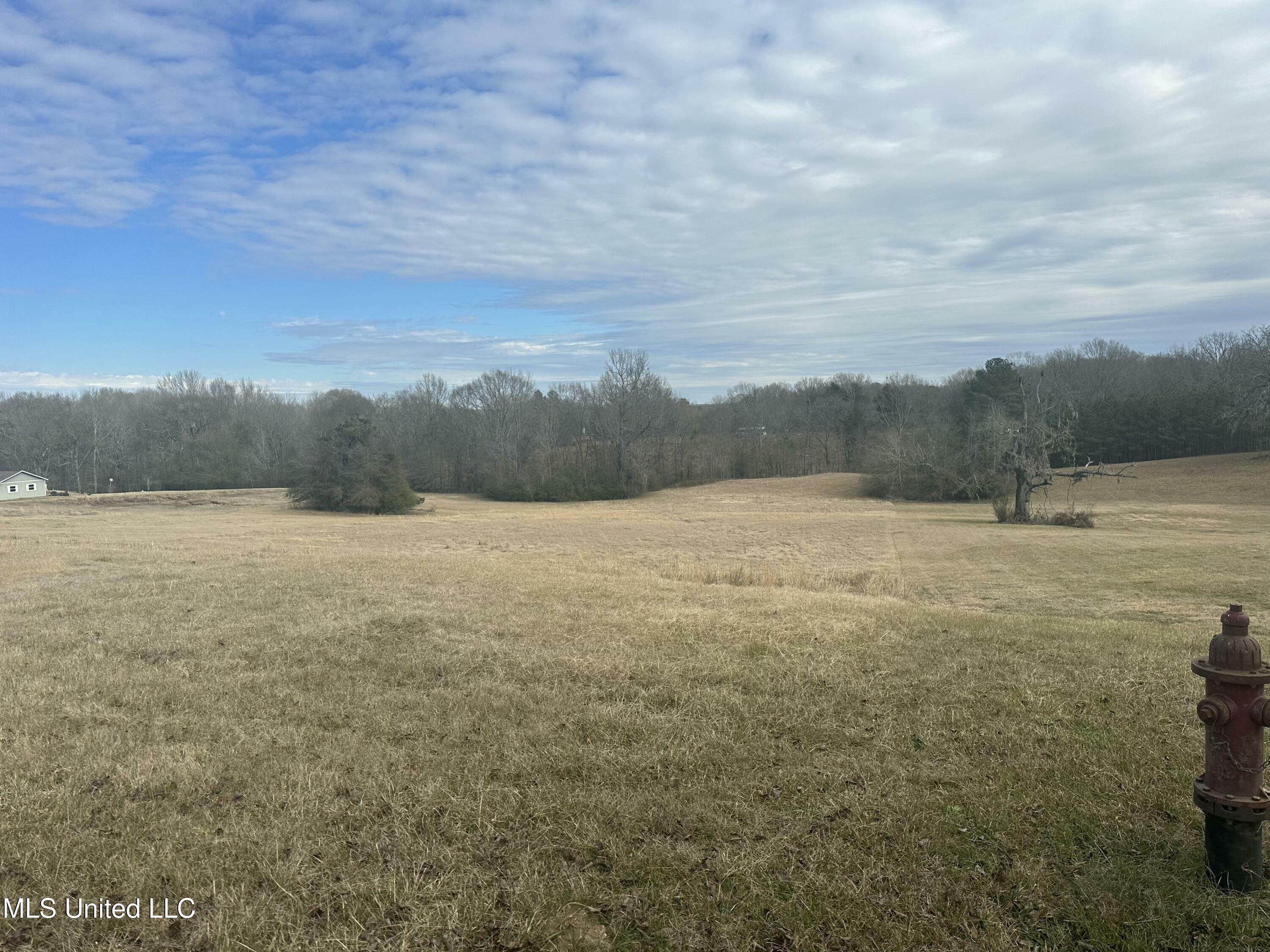 Property Photo:  Meadow Oaks Lane  MS 39056 