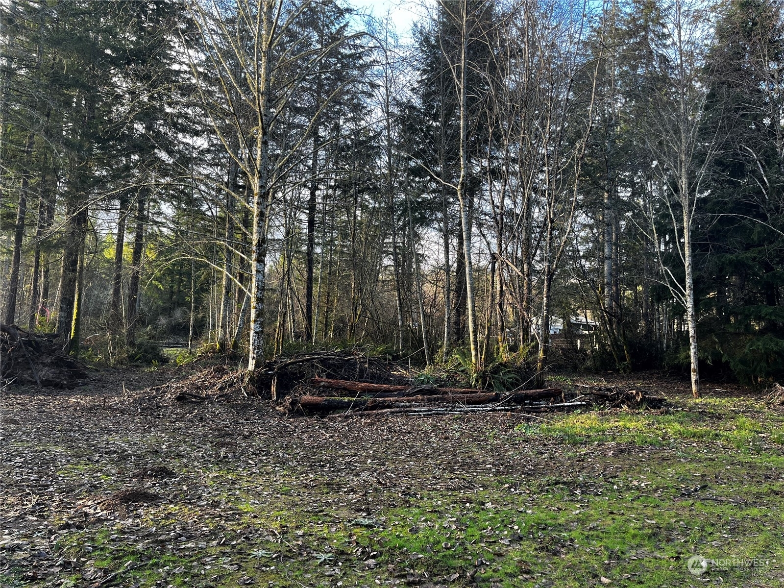 Property Photo:  17602  103rd Street Ct NW  WA 98329 