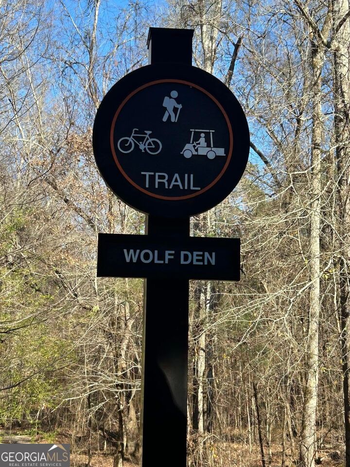 Property Photo:  144 Wolf Creek Cove  GA 30240 