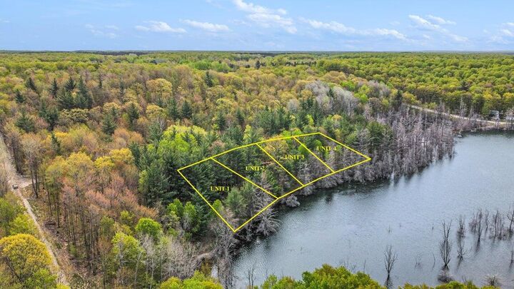 Unit 2 Lakeview Drive  Gaylord MI 49735 photo