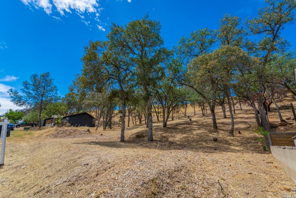 Property Photo:  1053 Headlands Drive  CA 94558 