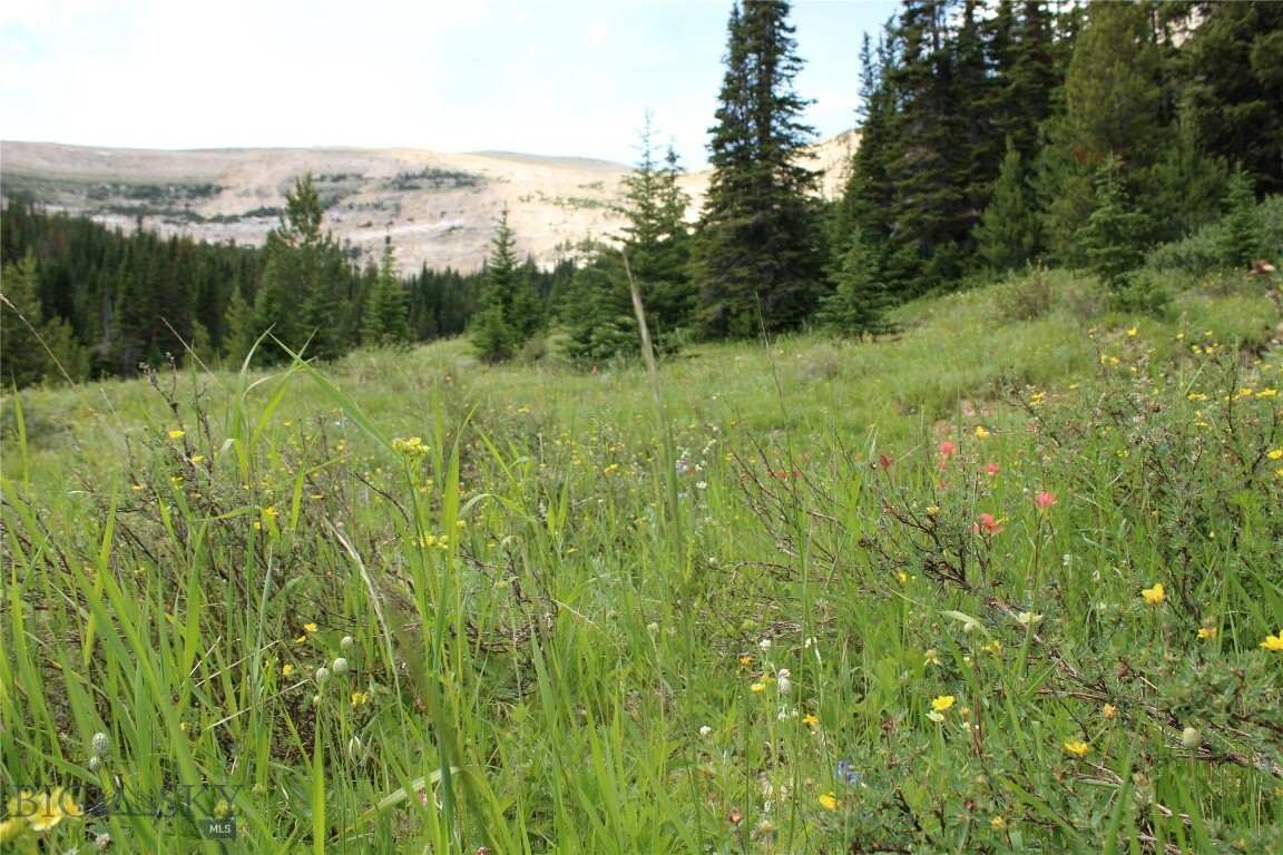 Property Photo:  Tbd Trapper Creek Road  MT 59743 