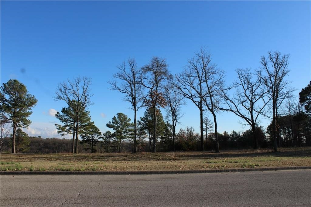 Property Photo:  26 Park Drive  AR 72631 