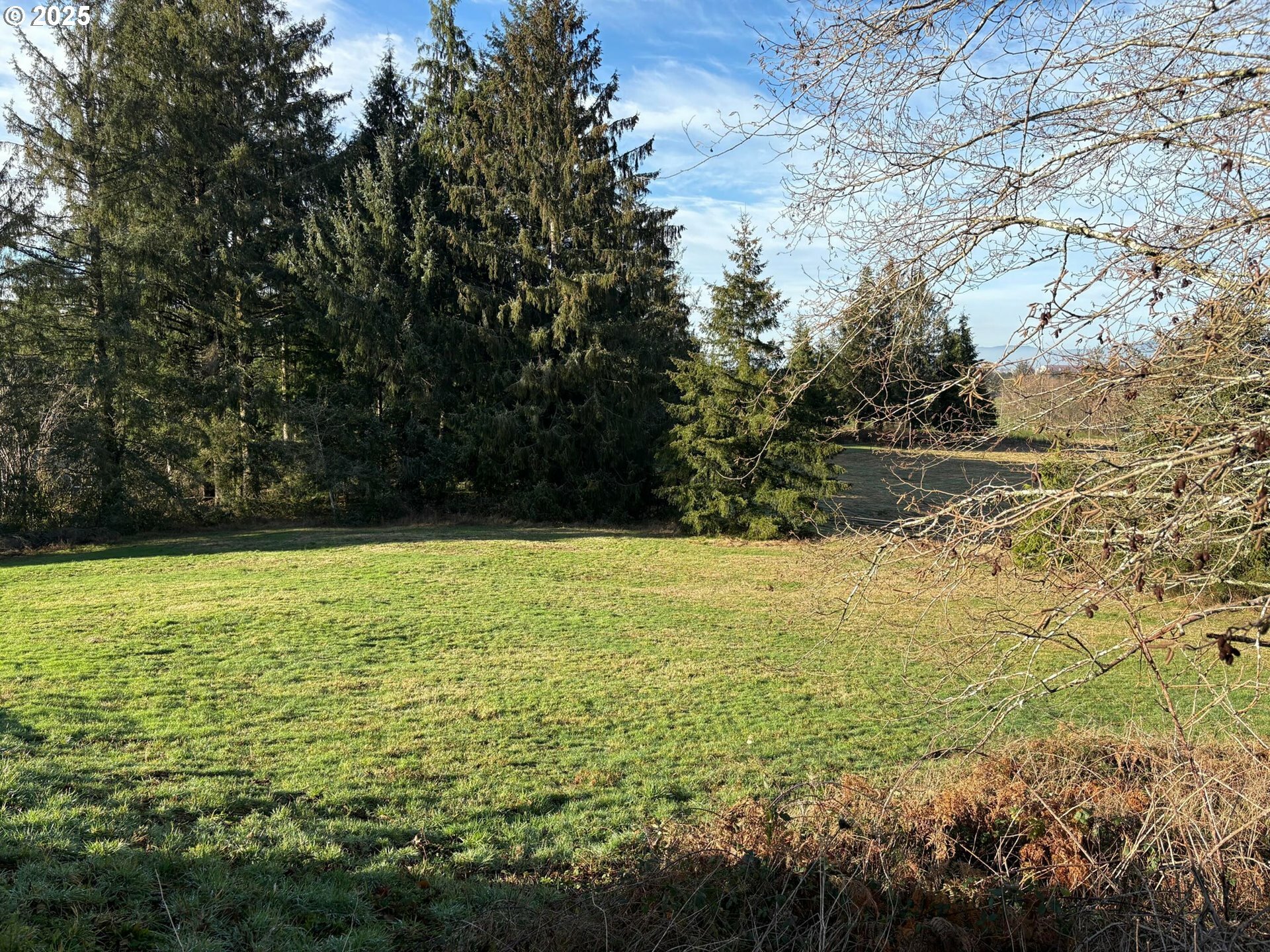 Hurliman Hill Rd  Tillamook OR 97141 photo