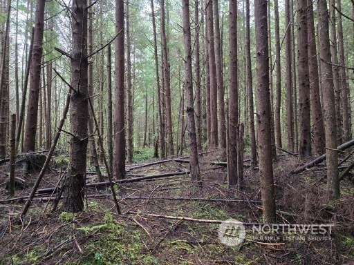 Property Photo:  0 Off Of  Plum Street  WA 98520 