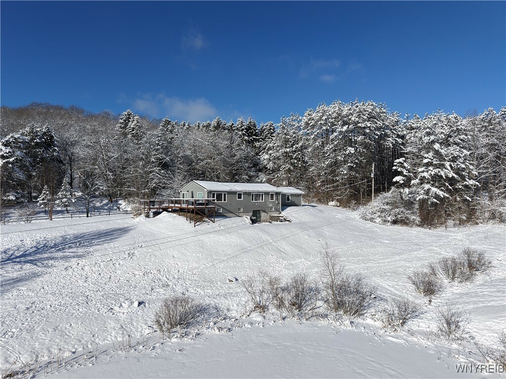 Property Photo:  5004 Brown Road  NY 14741 