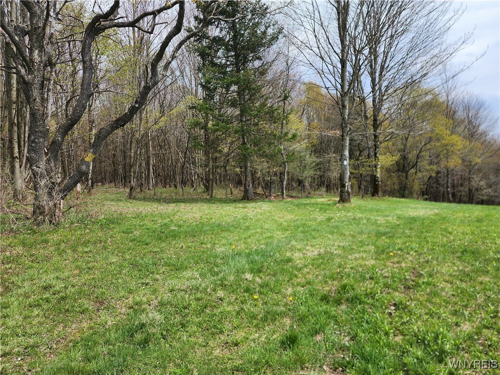 Property Photo: 11 Trail Heights NY 14731