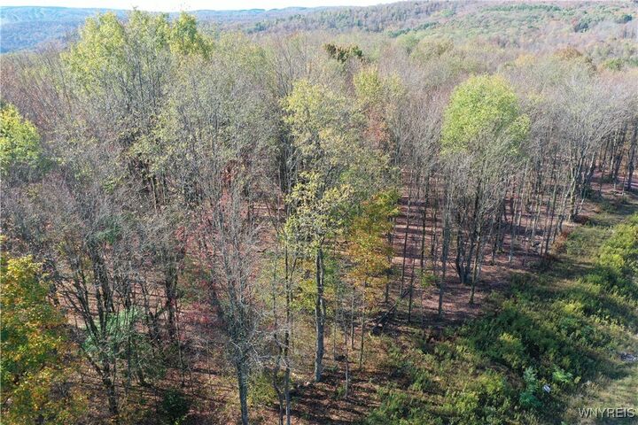 Property Photo: 11 Trail Heights NY 14731