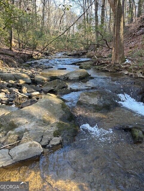 Property Photo: 0 Clear Creek Preserve Way 4.55 Acre Lot GA 30536