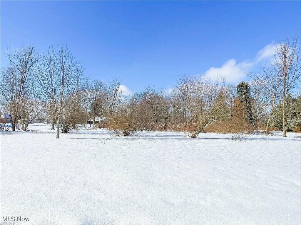 Property Photo:  49632 Foxwood Lane  OH 44413 