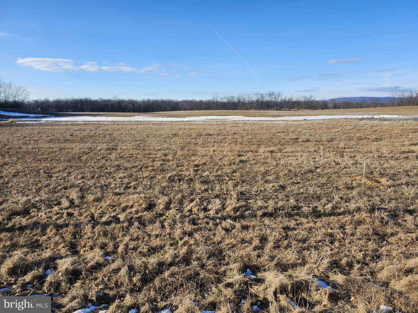 Property Photo:  Lot 4 Elton Drive  PA 17015 