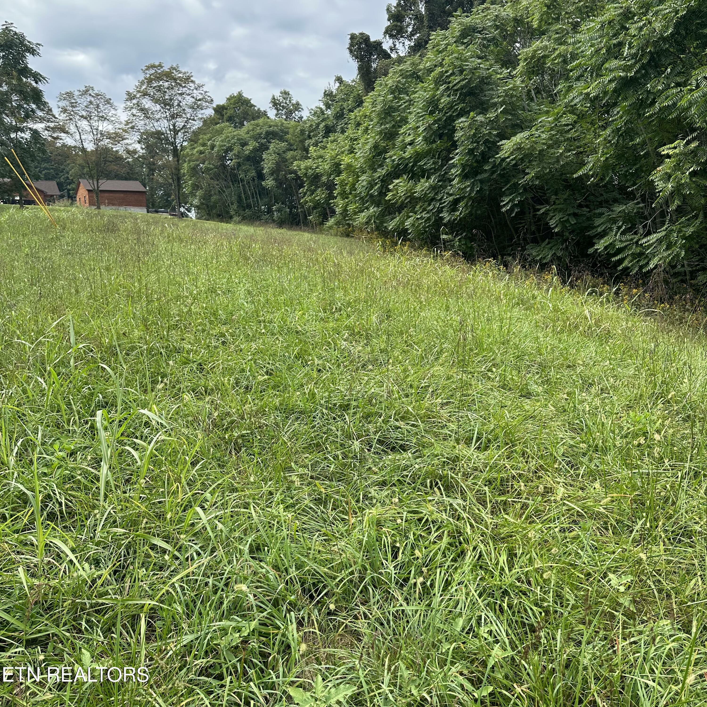 Property Photo:  Overton Rd, Lot 2  TN 37807 