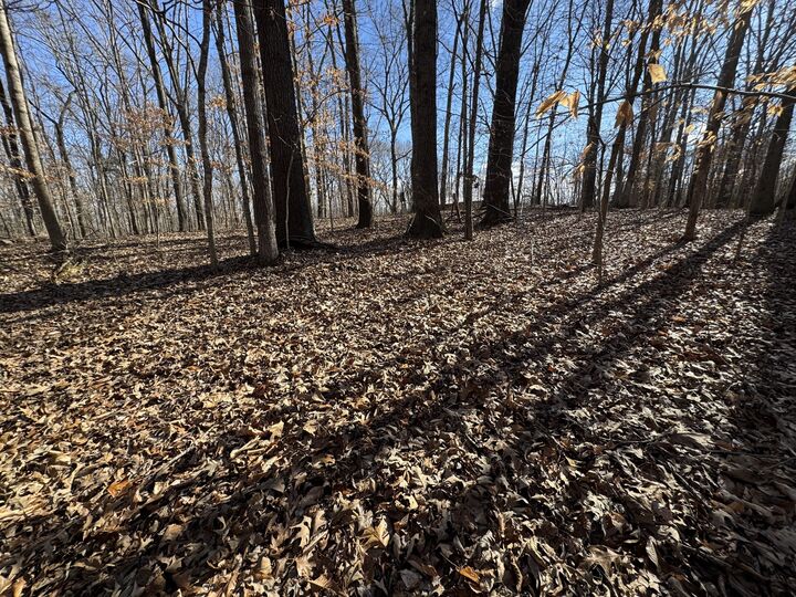 0 Cumberland City Rd  Cumberland City TN 37050 photo