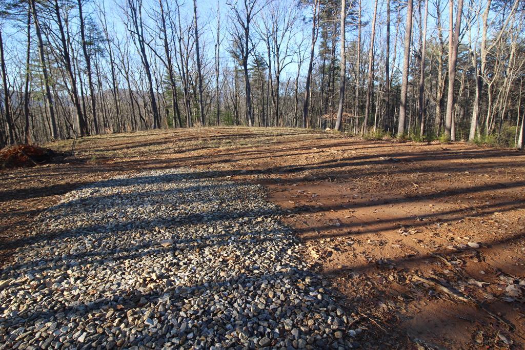Lot 10 Johnston Road  Blue Ridge GA 30513 photo